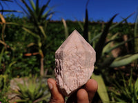 Natural Single Pineapple Quartz Crystals  x 12 From Madagascar - Toprock Gemstones and Minerals 