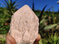 Natural Single Pineapple Quartz Crystals  x 12 From Madagascar - Toprock Gemstones and Minerals 