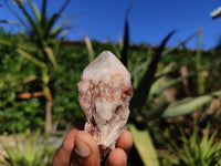 Natural Single Pineapple Quartz Crystals  x 12 From Madagascar - Toprock Gemstones and Minerals 