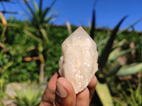 Natural Single Pineapple Quartz Crystals  x 12 From Madagascar - Toprock Gemstones and Minerals 