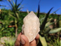 Natural Single Pineapple Quartz Crystals  x 12 From Madagascar - Toprock Gemstones and Minerals 