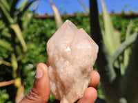 Natural Single Pineapple Quartz Crystals  x 12 From Madagascar - Toprock Gemstones and Minerals 