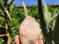 Natural Single Pineapple Quartz Crystals  x 12 From Madagascar - Toprock Gemstones and Minerals 