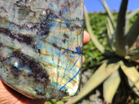 Polished Labradorite Standing Free Form With Blue & Gold Flash  x 1 From Tulear, Madagascar - Toprock Gemstones and Minerals 