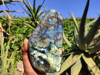 Polished Labradorite Standing Free Form With Blue & Gold Flash  x 1 From Tulear, Madagascar - Toprock Gemstones and Minerals 