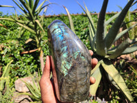 Polished Labradorite Standing Free Form With Blue & Gold Flash  x 1 From Tulear, Madagascar - Toprock Gemstones and Minerals 