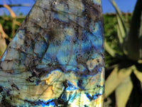 Polished Labradorite Standing Free Form With Blue & Gold Flash  x 1 From Tulear, Madagascar - Toprock Gemstones and Minerals 