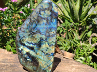 Polished Labradorite Standing Free Form With Blue & Gold Flash  x 1 From Tulear, Madagascar - Toprock Gemstones and Minerals 