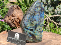 Polished Labradorite Standing Free Form With Blue & Gold Flash  x 1 From Tulear, Madagascar - Toprock Gemstones and Minerals 