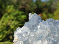 Natural Blue Celestite Crystal Specimens  x 3 From Sakoany, Madagascar - Toprock Gemstones and Minerals 