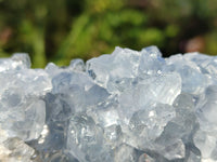 Natural Blue Celestite Crystal Specimens  x 3 From Sakoany, Madagascar - Toprock Gemstones and Minerals 