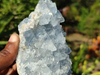 Natural Blue Celestite Crystal Specimens  x 3 From Sakoany, Madagascar - Toprock Gemstones and Minerals 