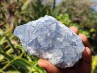 Natural Blue Celestite Crystal Specimens  x 3 From Sakoany, Madagascar - Toprock Gemstones and Minerals 