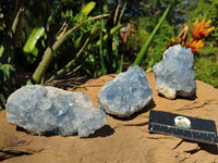 Natural Blue Celestite Crystal Specimens  x 3 From Sakoany, Madagascar - Toprock Gemstones and Minerals 