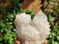 Natural White Spirit Quartz Clusters  x 6 From Boekenhouthoek, South Africa - Toprock Gemstones and Minerals 