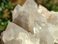 Natural White Spirit Quartz Clusters  x 6 From Boekenhouthoek, South Africa - Toprock Gemstones and Minerals 