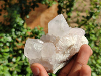 Natural White Spirit Quartz Clusters  x 6 From Boekenhouthoek, South Africa - Toprock Gemstones and Minerals 