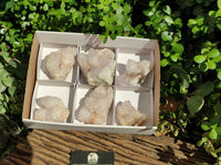 Natural White Spirit Quartz Clusters  x 6 From Boekenhouthoek, South Africa - Toprock Gemstones and Minerals 