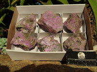 Natural Rough Stichtite & Serpentine Specimens  x 6 From South Africa - Toprock Gemstones and Minerals 