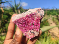 Natural Pink Salrose Cobaltion Dolomite Specimens  x 12 From Kakanda, Congo - Toprock Gemstones and Minerals 