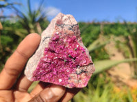 Natural Pink Salrose Cobaltion Dolomite Specimens  x 12 From Kakanda, Congo - Toprock Gemstones and Minerals 