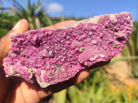 Natural Pink Salrose Cobaltion Dolomite Specimens  x 12 From Kakanda, Congo - Toprock Gemstones and Minerals 