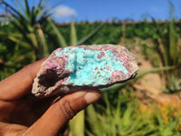 Natural Pink Salrose Cobaltion Dolomite Specimens  x 12 From Kakanda, Congo - Toprock Gemstones and Minerals 