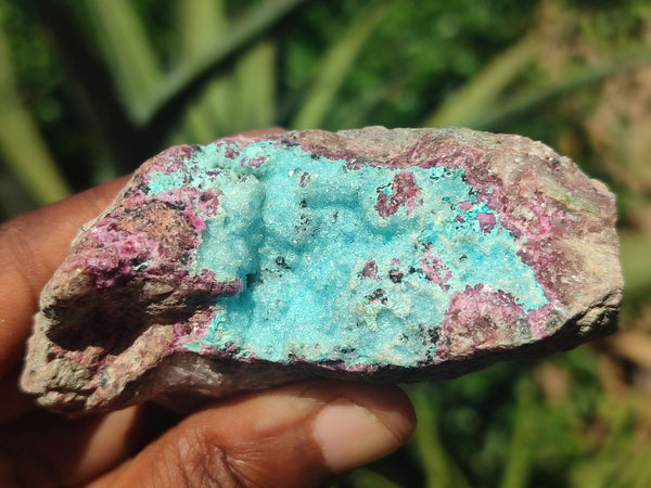 Natural Pink Salrose Cobaltion Dolomite Specimens  x 12 From Kakanda, Congo - Toprock Gemstones and Minerals 