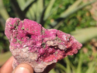 Natural Pink Salrose Cobaltion Dolomite Specimens  x 12 From Kakanda, Congo - Toprock Gemstones and Minerals 