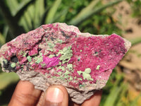 Natural Pink Salrose Cobaltion Dolomite Specimens  x 12 From Kakanda, Congo - Toprock Gemstones and Minerals 