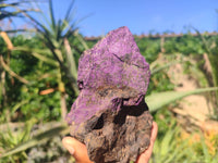 Natural Large Metallic Purpurite Specimens  x 2 From Erongo, Namibia - Toprock Gemstones and Minerals 