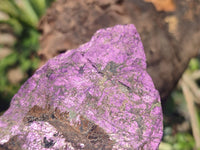 Natural Large Metallic Purpurite Specimens  x 2 From Erongo, Namibia - Toprock Gemstones and Minerals 