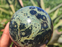 Polished Stromatolite / Kambamba Jasper Spheres  x 2 From Madagascar - Toprock Gemstones and Minerals 