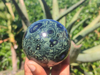 Polished Stromatolite / Kambamba Jasper Spheres  x 2 From Madagascar - Toprock Gemstones and Minerals 