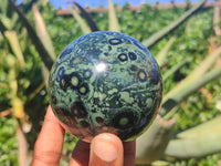 Polished Stromatolite / Kambamba Jasper Spheres  x 2 From Madagascar - Toprock Gemstones and Minerals 