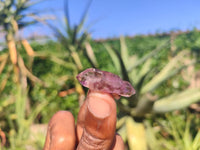 Natural Mini Smokey Amethyst Crystals  x 70 From Chiredzi, Zimbabwe - Toprock Gemstones and Minerals 