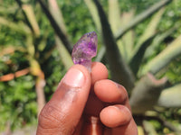 Natural Mini Smokey Amethyst Crystals  x 70 From Chiredzi, Zimbabwe - Toprock Gemstones and Minerals 