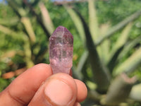 Natural Mini Smokey Amethyst Crystals  x 70 From Chiredzi, Zimbabwe - Toprock Gemstones and Minerals 