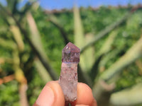 Natural Mini Smokey Amethyst Crystals  x 70 From Chiredzi, Zimbabwe - Toprock Gemstones and Minerals 