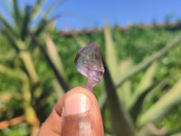 Natural Mini Smokey Amethyst Crystals  x 70 From Chiredzi, Zimbabwe - Toprock Gemstones and Minerals 