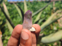 Natural Mini Smokey Amethyst Crystals  x 70 From Chiredzi, Zimbabwe - Toprock Gemstones and Minerals 