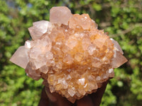 Natural Gorgeous Spirit Amethyst Quartz Clusters  x 6 From Boekenhouthoek, South Africa - Toprock Gemstones and Minerals 