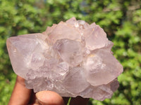 Natural Gorgeous Spirit Amethyst Quartz Clusters  x 6 From Boekenhouthoek, South Africa - Toprock Gemstones and Minerals 