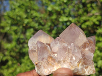 Natural Gorgeous Spirit Amethyst Quartz Clusters  x 6 From Boekenhouthoek, South Africa - Toprock Gemstones and Minerals 