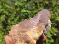 Natural Gorgeous Spirit Amethyst Quartz Clusters  x 6 From Boekenhouthoek, South Africa - Toprock Gemstones and Minerals 