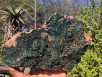 Natural Crystalline Micro Botryoidal Malachite Specimen  x 1 From Congo - Toprock Gemstones and Minerals 