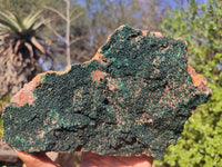 Natural Crystalline Micro Botryoidal Malachite Specimen  x 1 From Congo - Toprock Gemstones and Minerals 