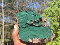 Natural Crystalline Micro Botryoidal Malachite Specimen  x 1 From Congo - Toprock Gemstones and Minerals 