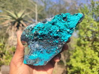 Natural Blue Silica Chrysocolla Specimens  x 2 From Congo - Toprock Gemstones and Minerals 