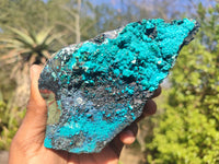 Natural Blue Silica Chrysocolla Specimens  x 2 From Congo - Toprock Gemstones and Minerals 